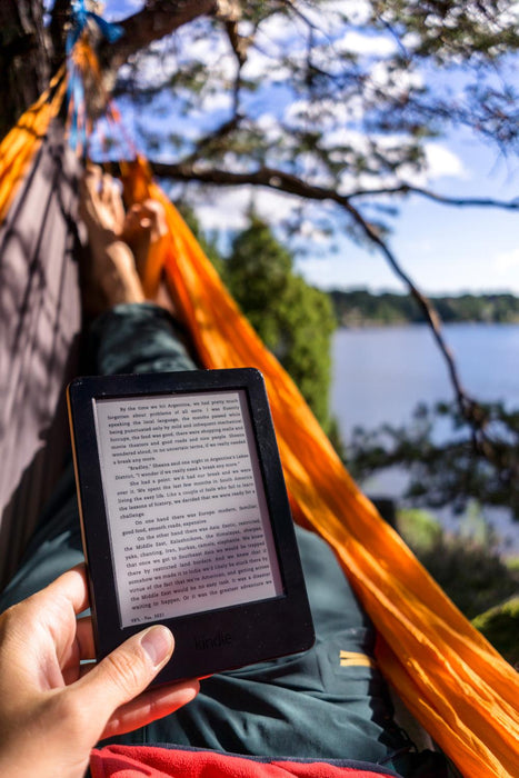 Silk Traveller - techno