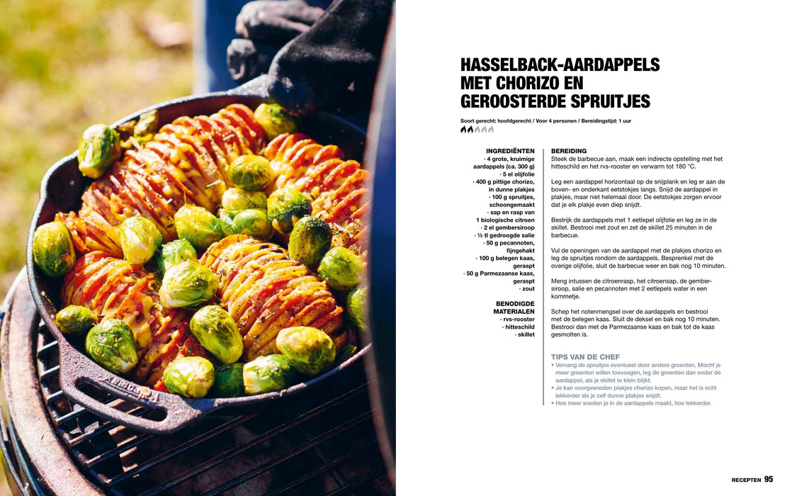 Het Ultieme Gietijzerboek