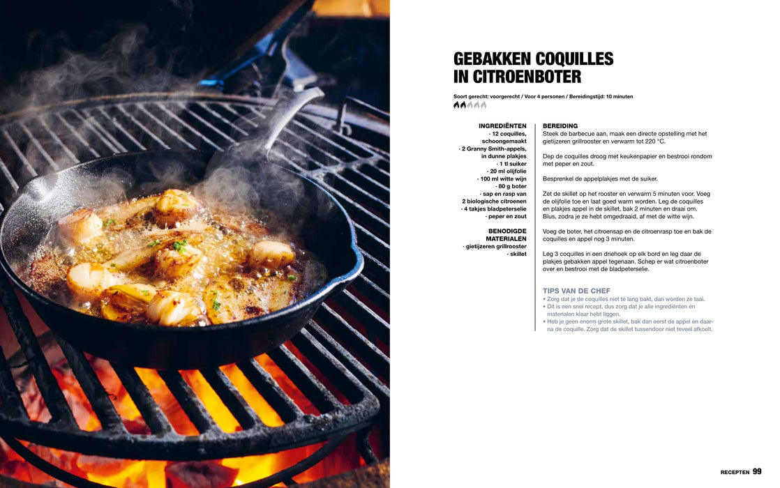 Het Ultieme Gietijzerboek