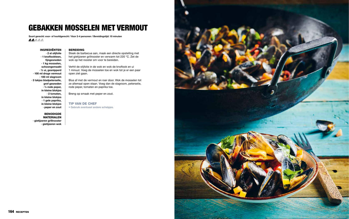 Het Ultieme Gietijzerboek