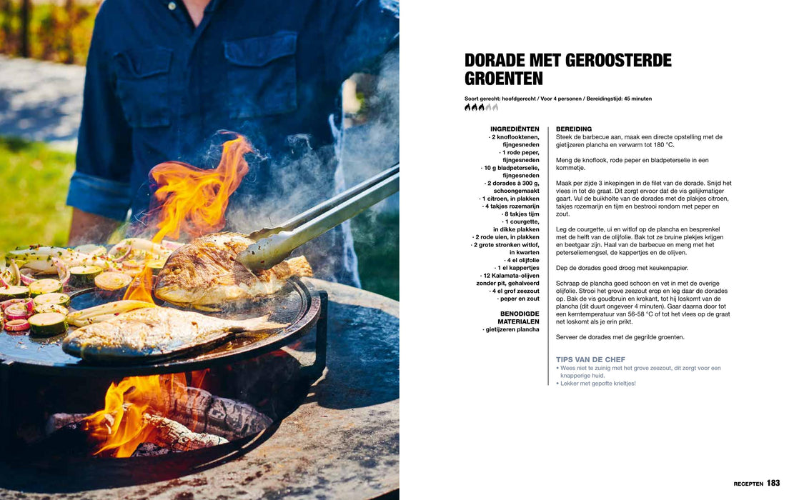 Het Ultieme Gietijzerboek