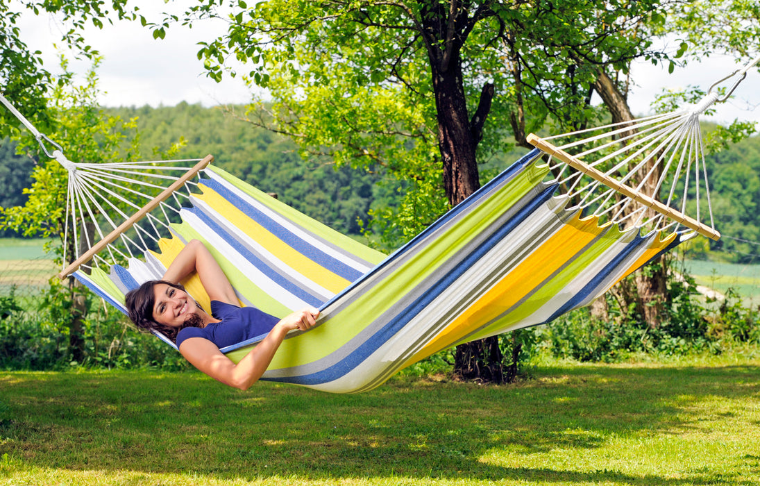 Topdeal: Tonga - kolibri