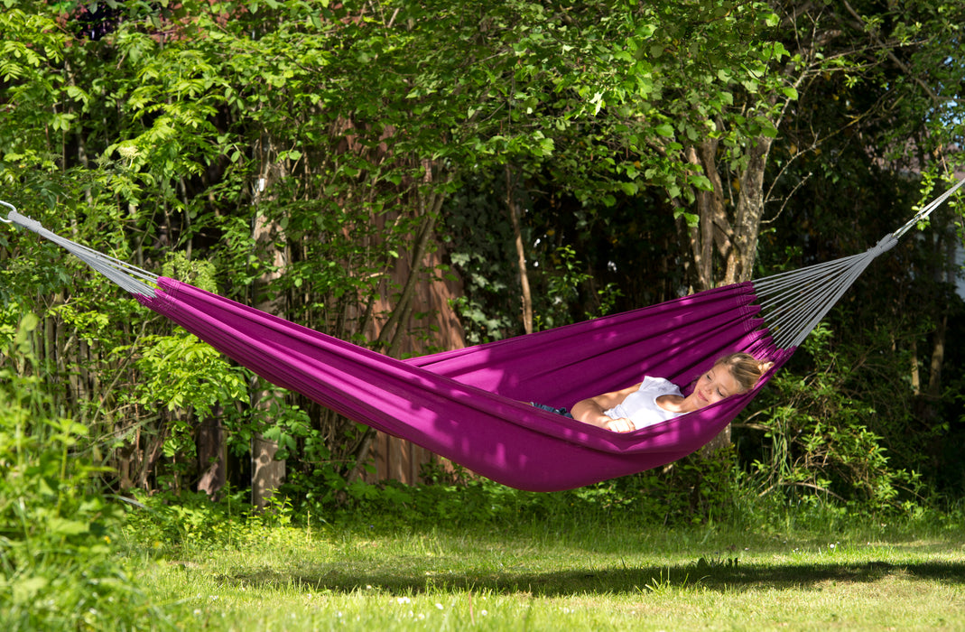 Outlet: Florida - berry