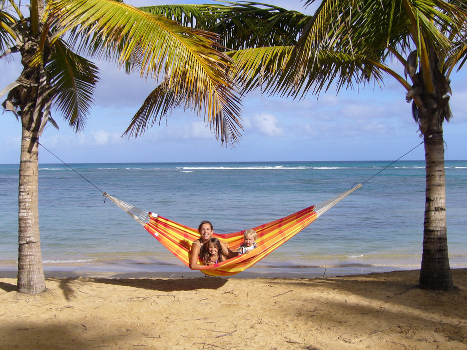 Barbados - papaya